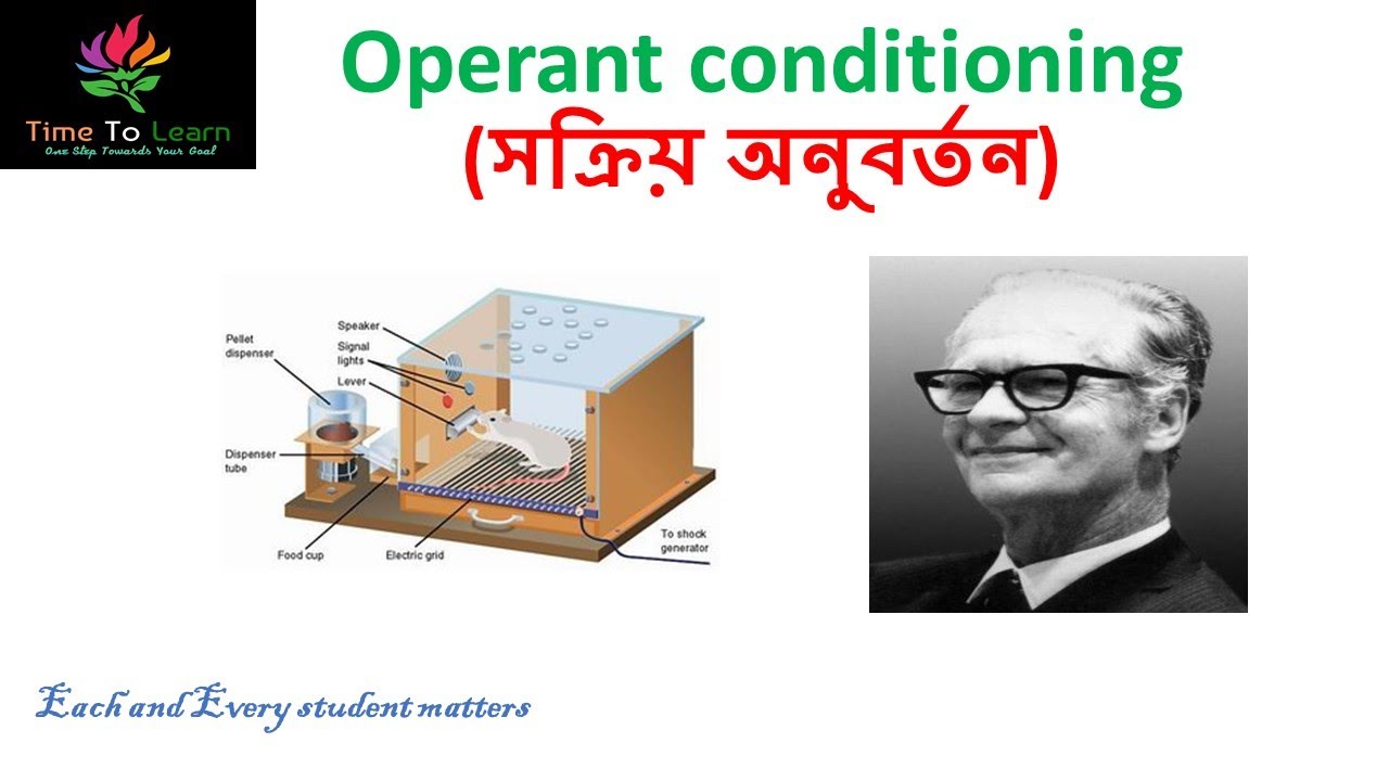 Operant Conditioning theory of learning in Bengali : সক্রিয় অনুবর্তন | CTET | WBTET | NTA NET
