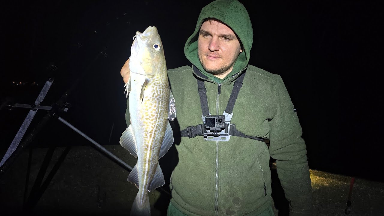 Cod fishing on the Humber part 2 bay 24 