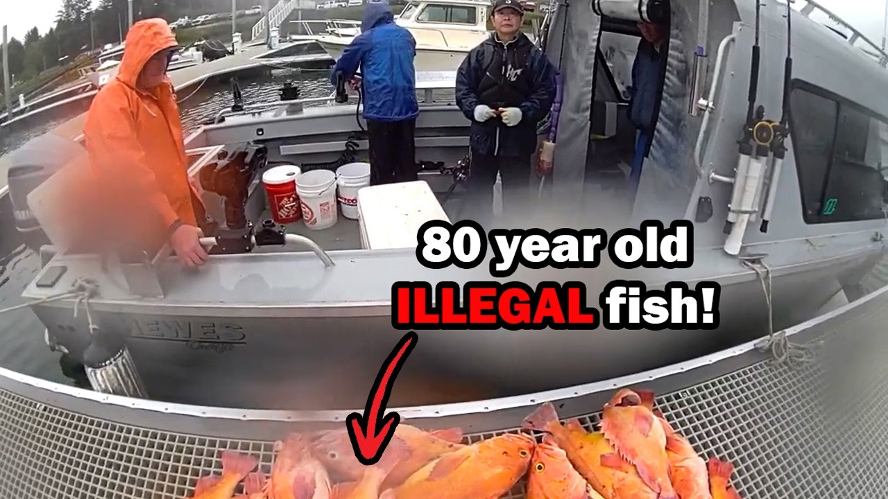 Vessel Search Leads to Fishing Major Violations - Washington