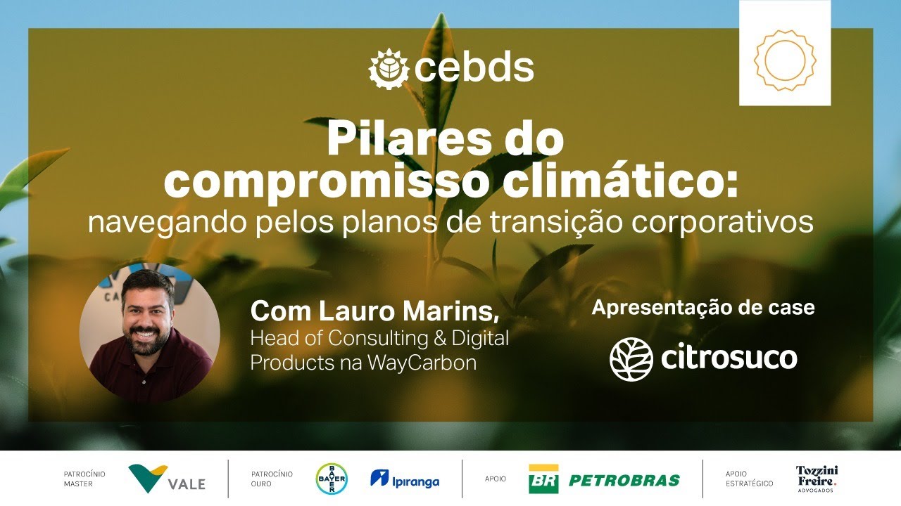 Pilares do compromisso climático: navegando pelos planos de transição corporativos