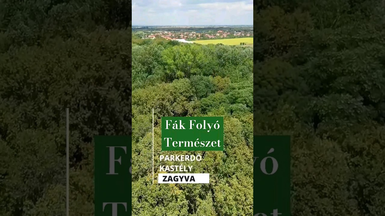 &Uacute;JSZ&Aacute;SZI PARKERDŐ