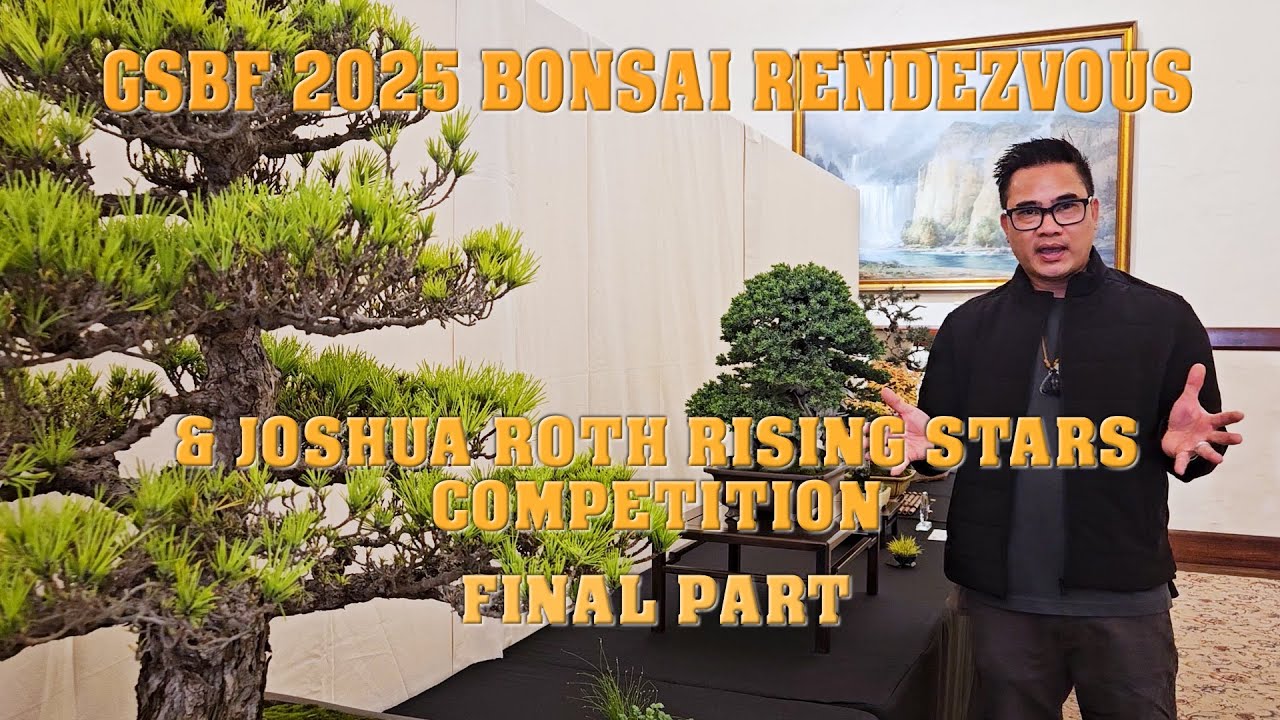 GSBF Finale Bonsai Rendezvous & Joshua Roth Rising Stars competition #bonsai #GSBF #Bonsaishow