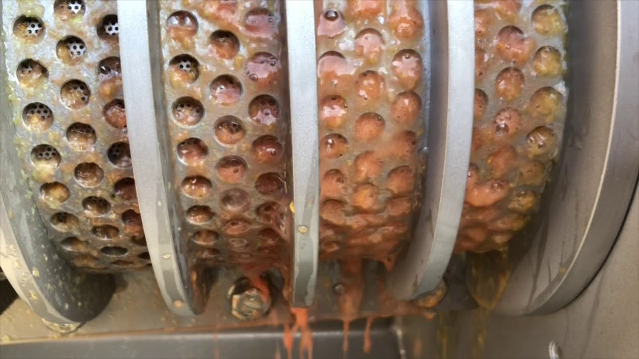 screw press squeezing fruit