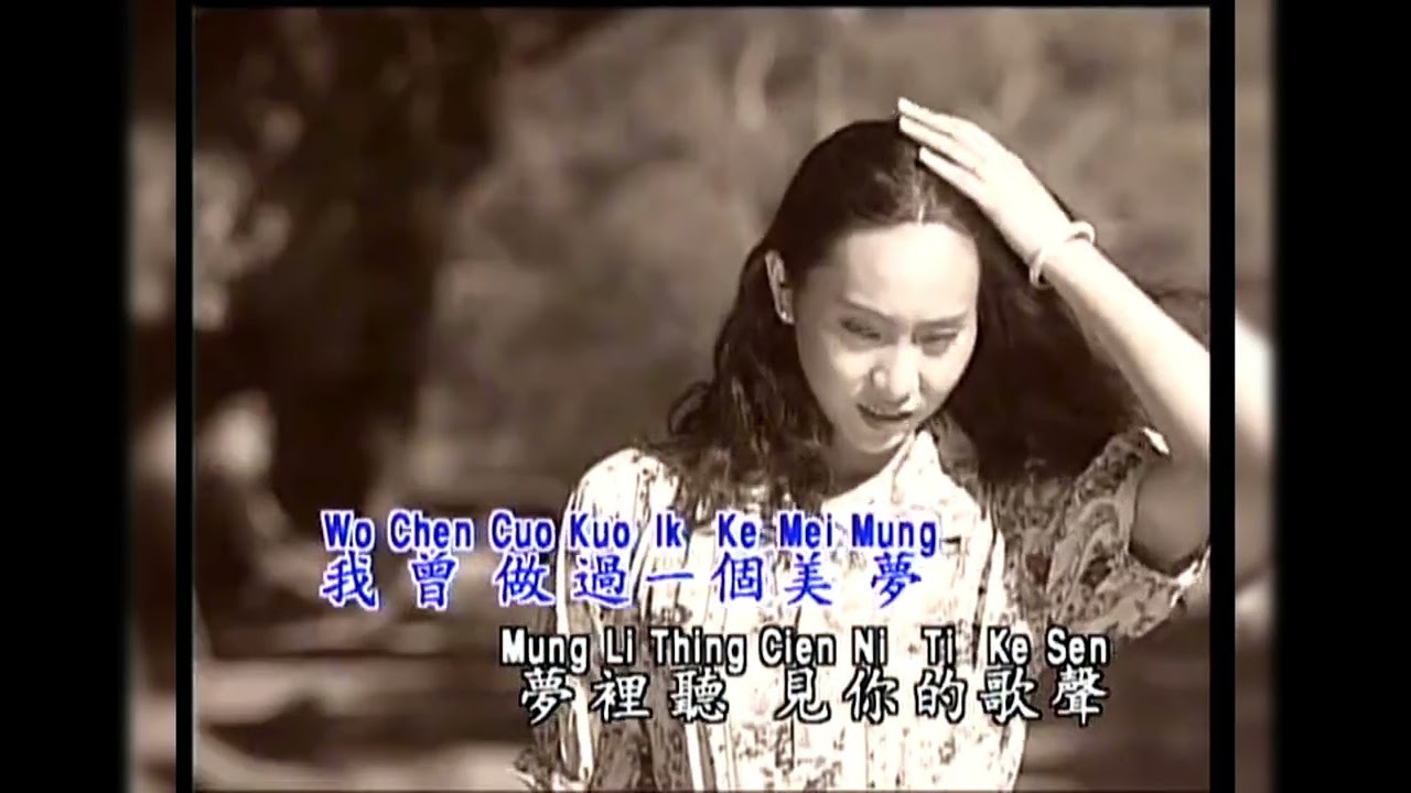 庄学忠 - 梦在你怀中