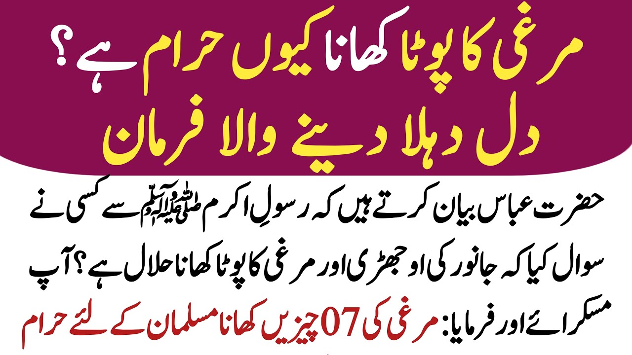 Murghi Ka Pota Khana Kiyon Haram Hai | Murgi Ka Pota Khana Kaisa Hai |Islamic Stories |Islamic Waqia
