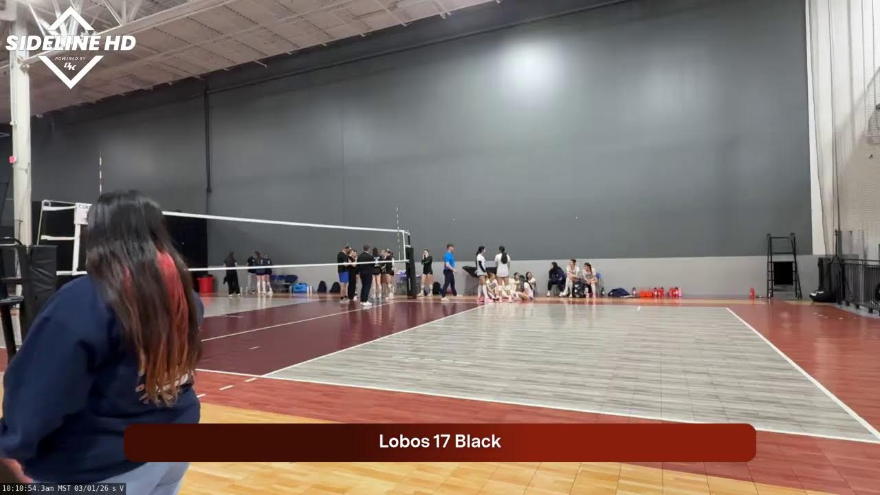Lobos 17Black (2026.03.01)