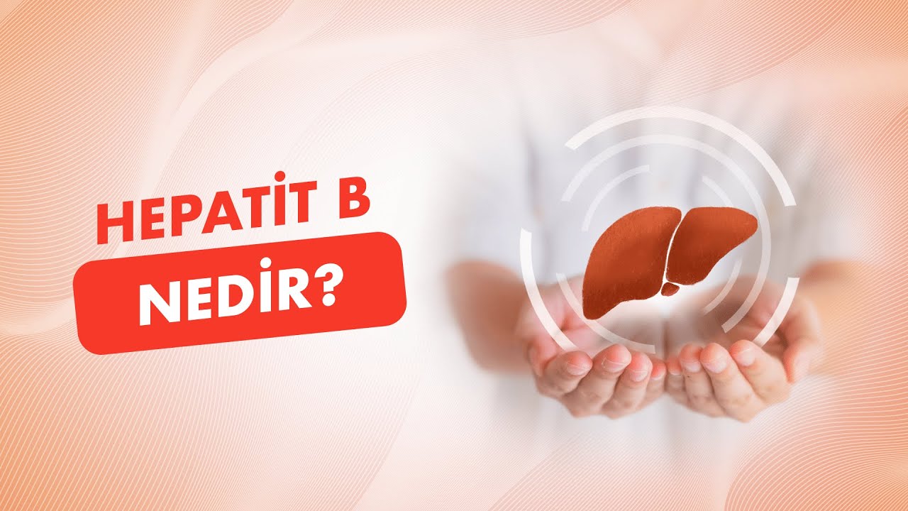 Hepatit B Nedir? : Belirtileri, Tedavisi, Bulaştırıcılık ve Daha Fazlası