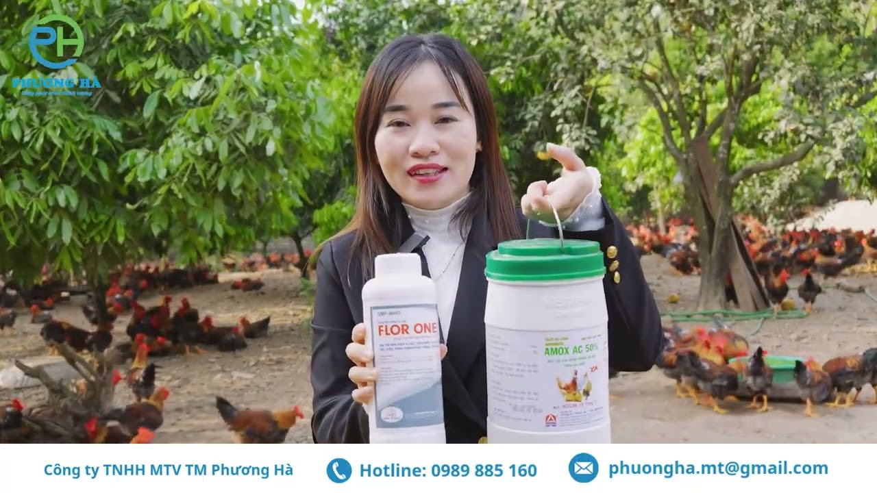 Giải Pháp Chăn Nuôi Hiệu Quả Và Bền Vững