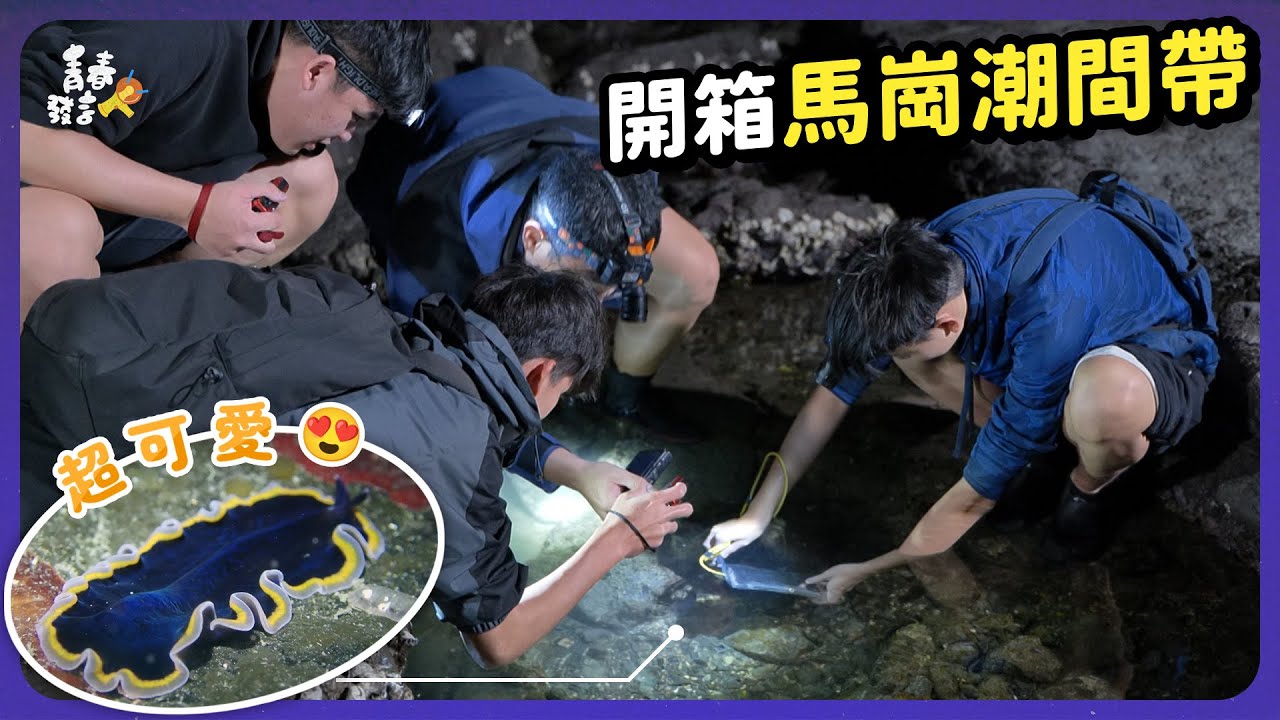 🔎💦羅高熱血生態調查！解鎖馬崗潮間帶隱藏地圖
