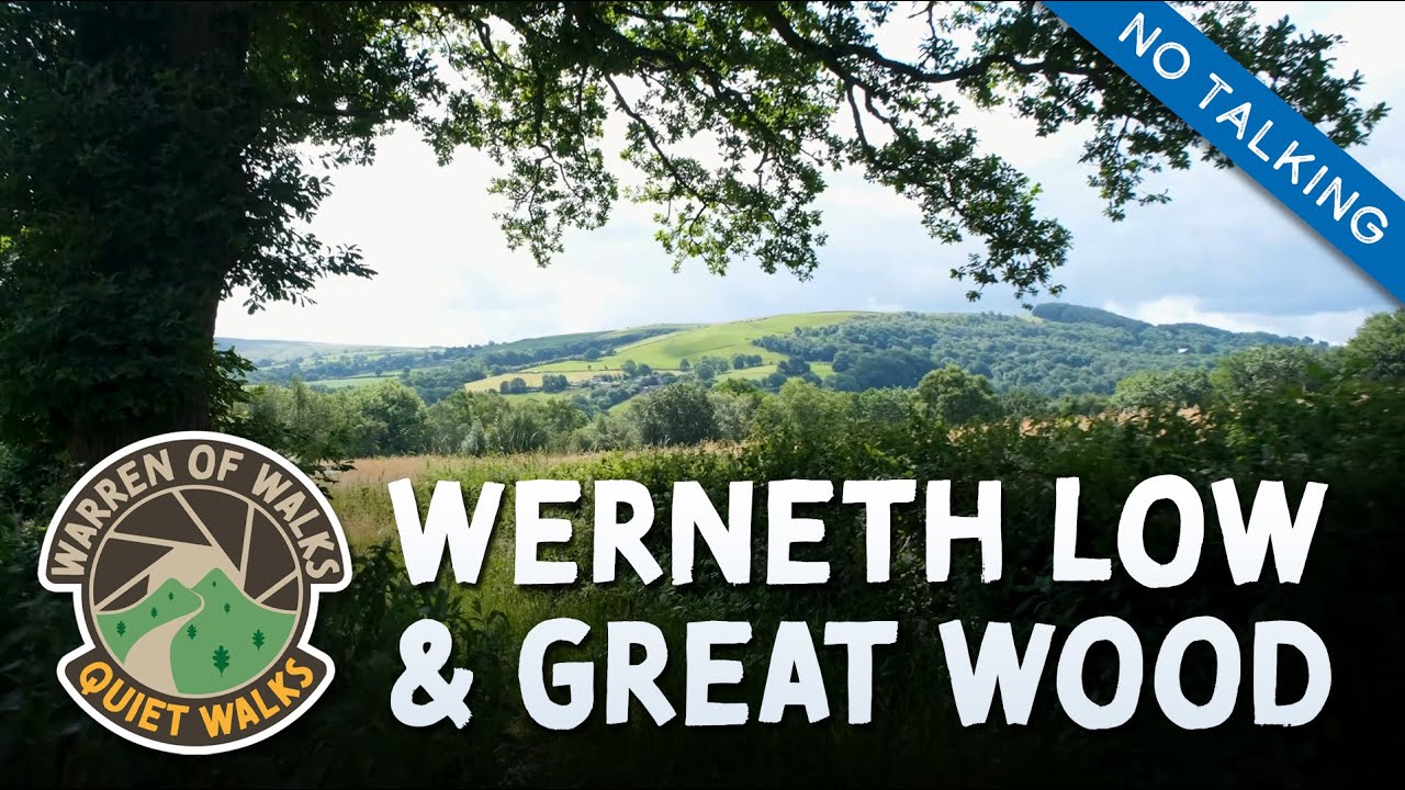 Quiet Woodland Walking Tour🌳with Summer Birdsong 🐦‍⬛ Great Wood & Werneth Low