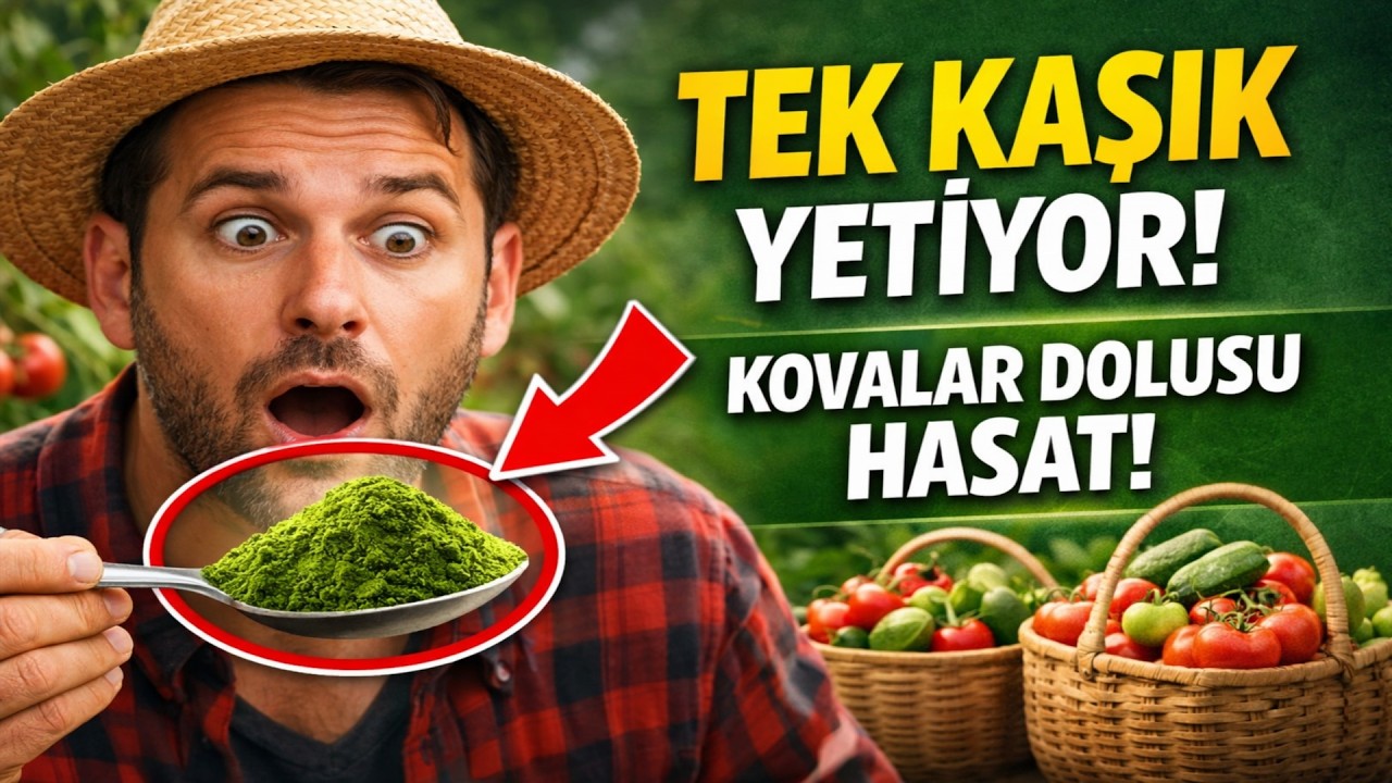Tüm bahçeye sadece bir kaşık yetiyor, hasat ise kovalar dolusu! Peki, hangi Trikoderma gerçekten iş