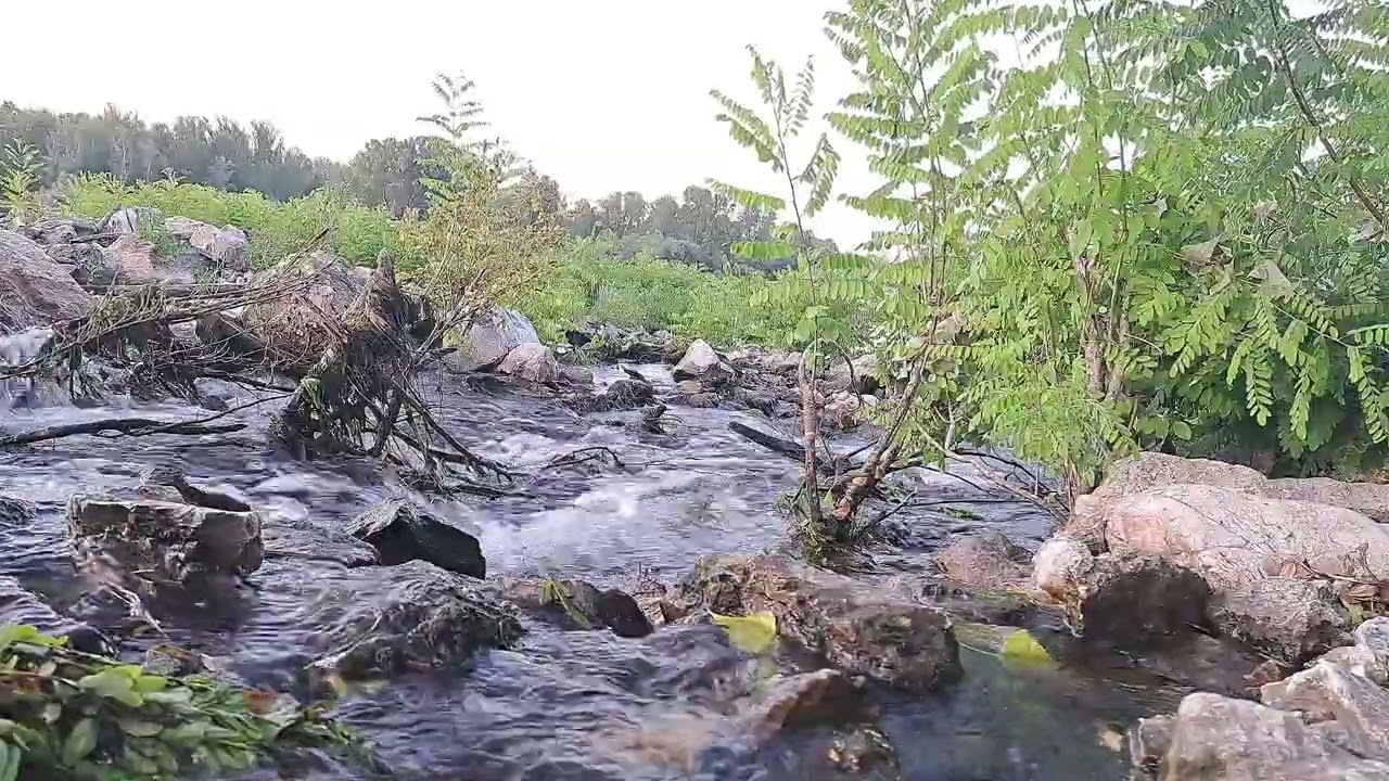 Greek River Flow Sounds | White Noise To Help You Relax, Study or Sleep | Nature Video