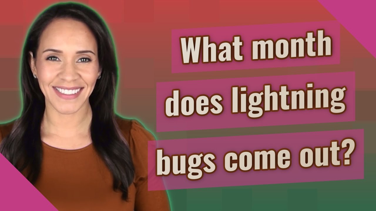 What month does lightning bugs come out?
