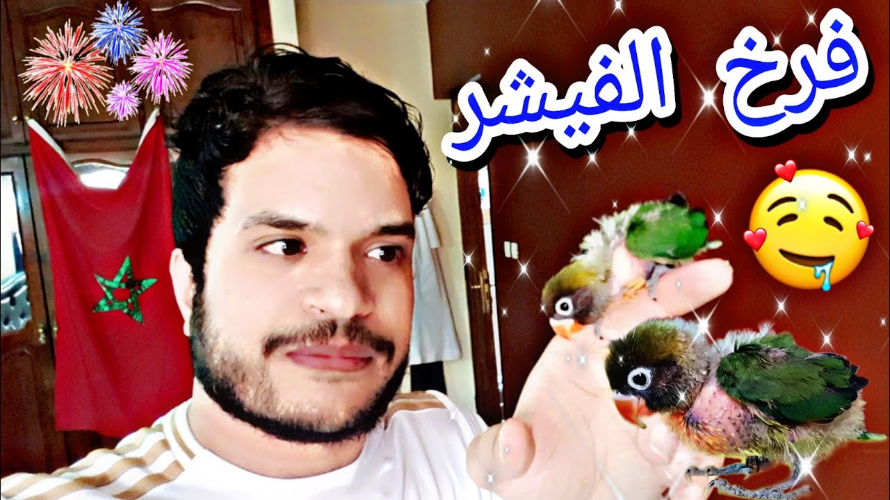 إشتريت صغير الفيشر لأول مرة 😍 طريقة التأكيل يدويا 