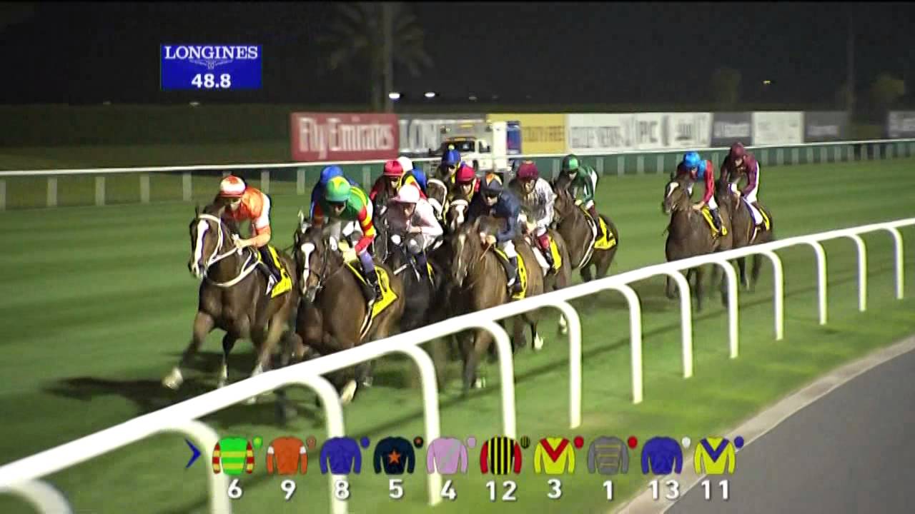 29.03.2014 Meydan (Dubai-UAE) 7.Race Dubai Duty Free 2014 - Group I 1.800 m