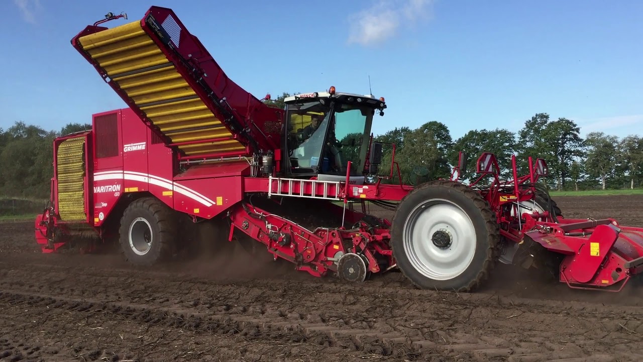 Pootaardappelen in het zwad rooien met een Grimme Varitron 470
