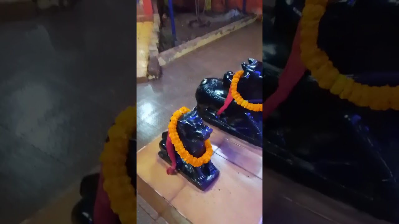 @Maa dakhinakali mandirare bhajan #viral #odiasong #odia #viral #viral bhajan #jay Jagannath #