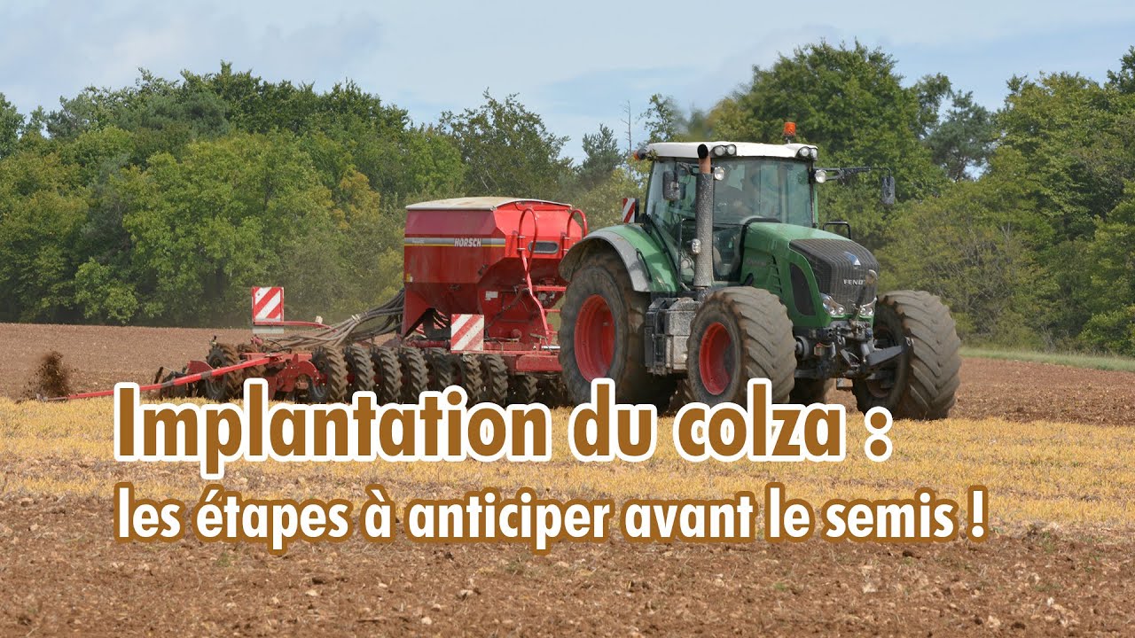 Implantation colza : à anticiper avant le semis !