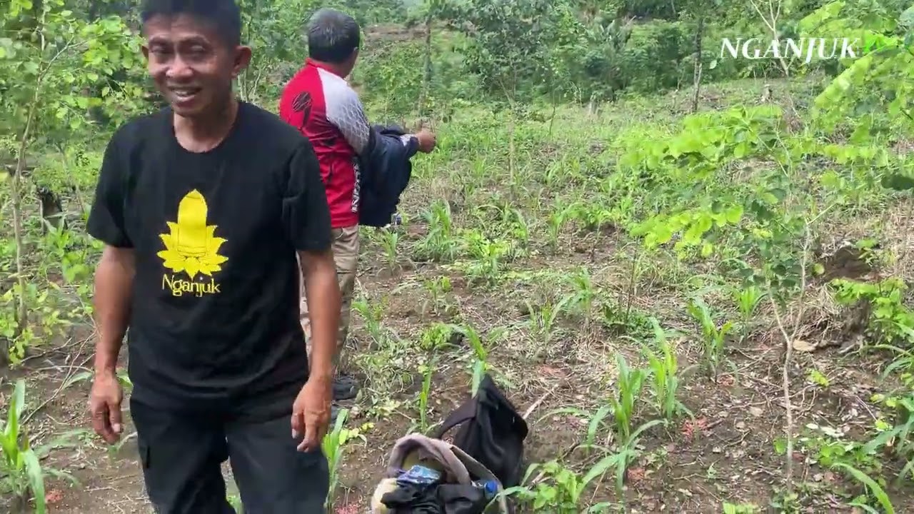 MEMBUKTIKAN LAPORAN EUGENE DUBOIS POTENSI FOSIL DI LERENG G. PANDAN TERPADAT | Nganjuk TV