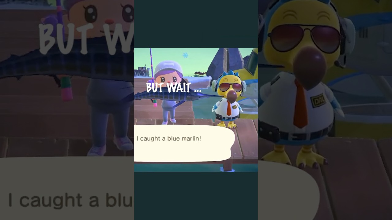 Catch a blue Marlin beside Wilbur! Animal Crossing New Horizons