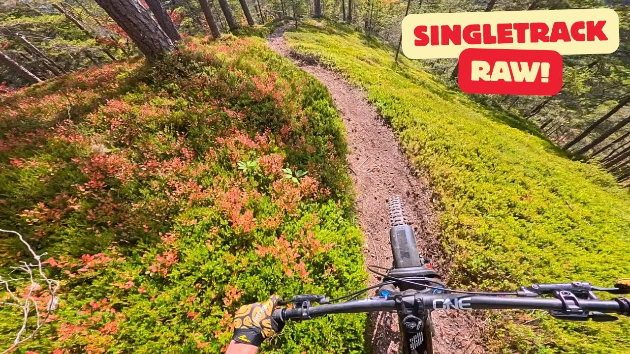 Ultimate Single-Track MTB Trails - RAW!!