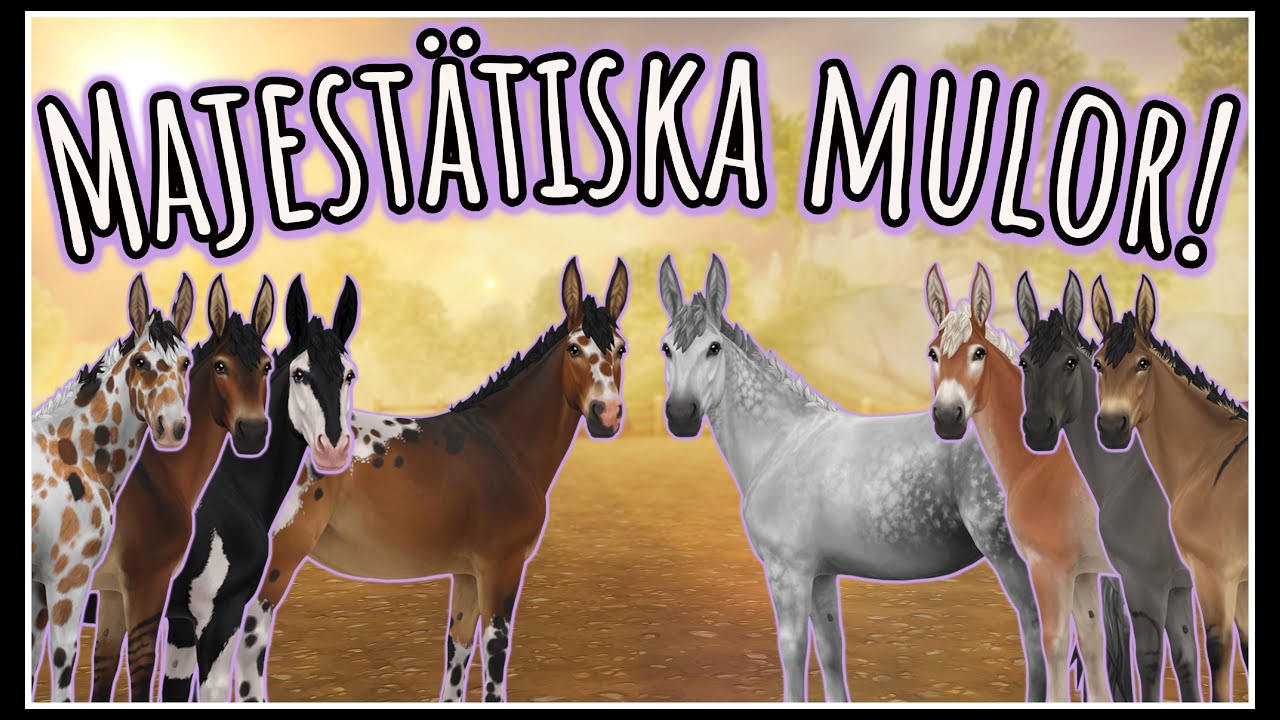 AIR STAR - Uppdatering! Mulorna är här, nu ska det shoppas!