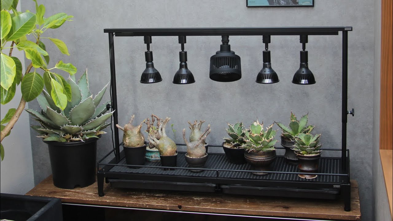 LIM IRON CRAFTの1段植物棚のご紹介