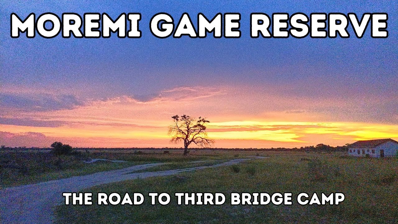 Moremi Game Reserve & Third Bridge Camp - Episode 7 BOTSWANA SELF-DRIVE 4x4 #botswana