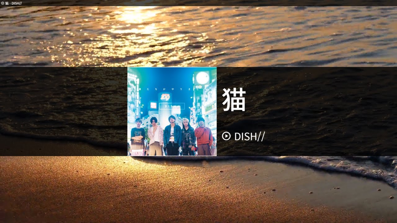 猫[고양이] - DISH//　カラオケ　노래방