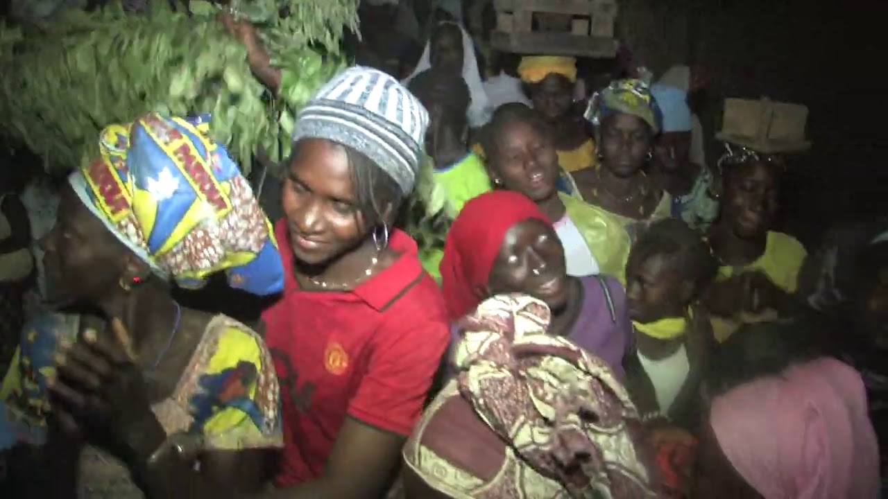 Mamoo kankurang songs and Dimbaya group of Kassikunda, Kantora.