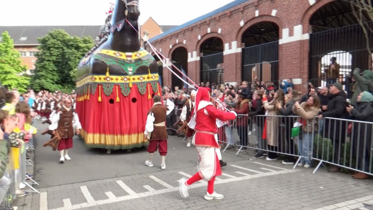 Ros Beiaardommegang Dendermonde 2022