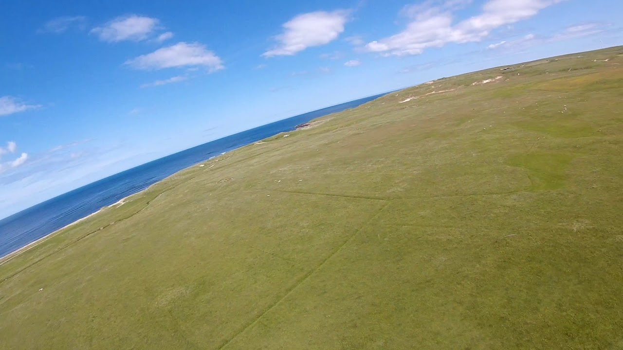 Ewings Firefly fpv maiden