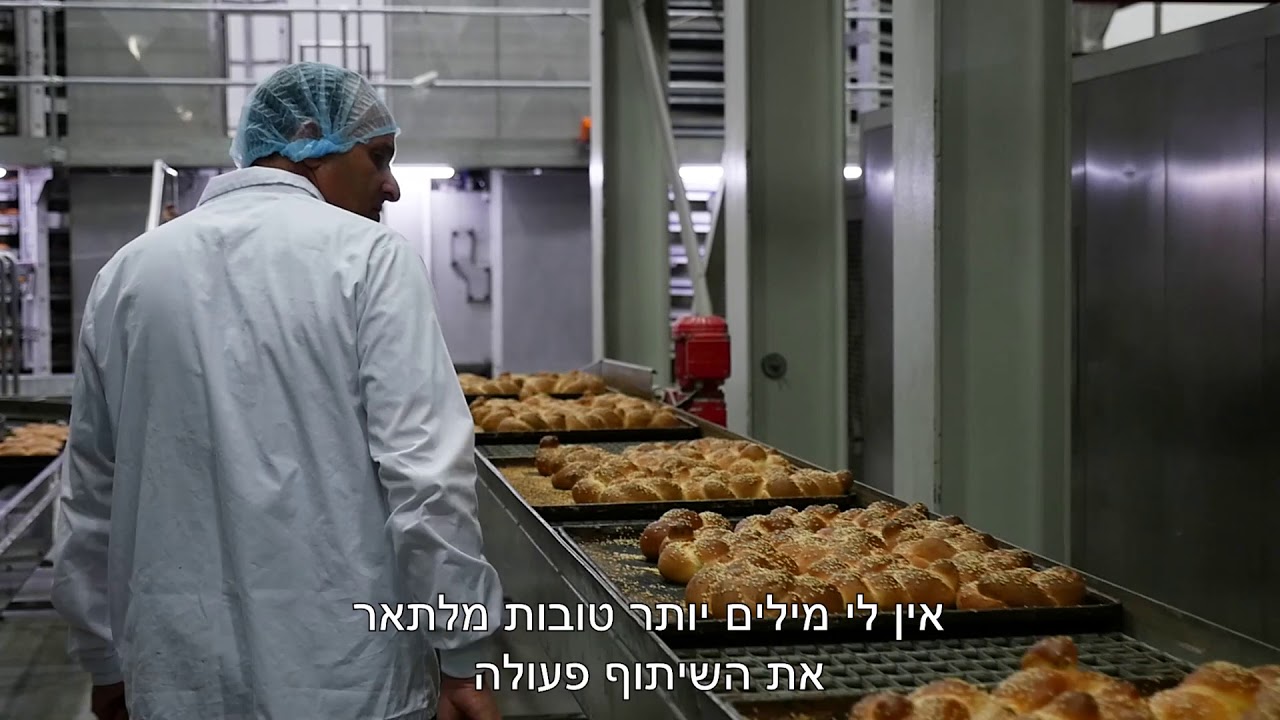 גיא ואמיר אגמי - מנכ