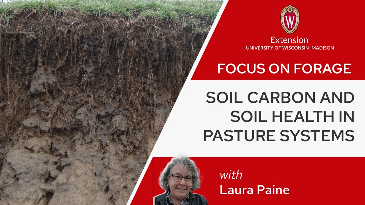 Soil Carbon and Soil Health in Pasture Systems with Laura Paine