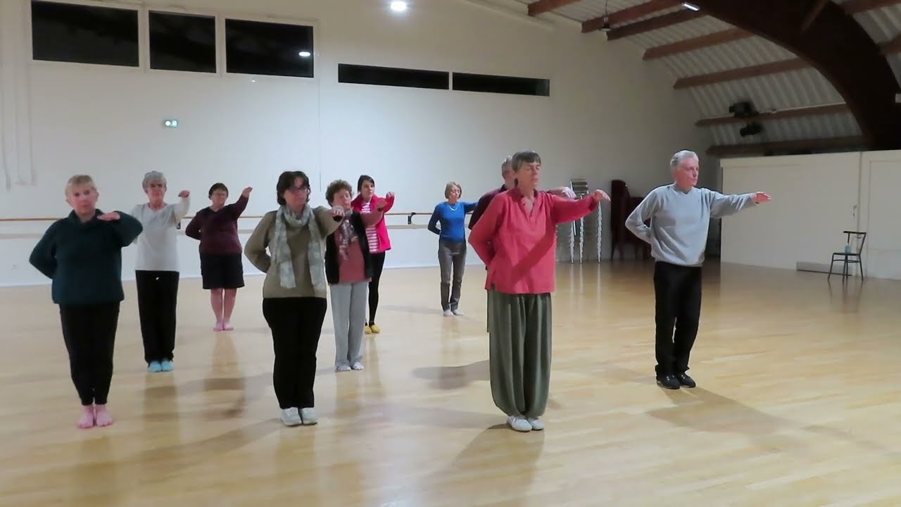 Qi Gong - Jouer avec la Plume dans le Vent - Novembre 2024 - Le Phoenix bleu