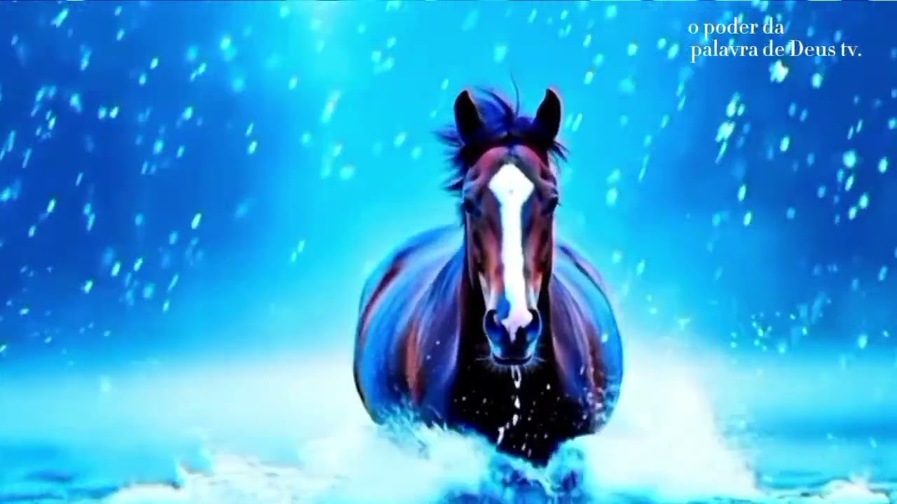 EU SO  SOLTEI O CAVALO MESSAGEM DO DIA 