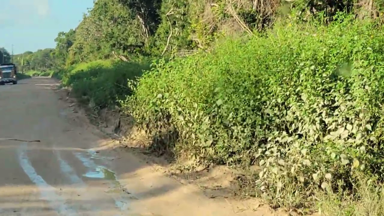 Miles before pavement  Corozal Town Belize 
