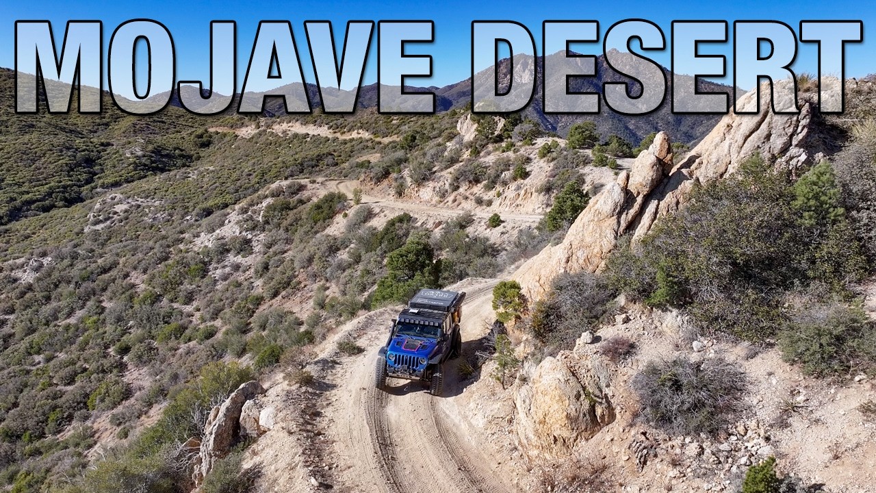 Blown Away in the Mojave Desert