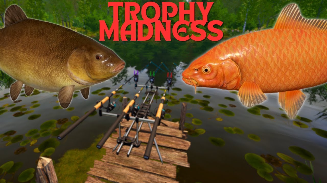 TROPHY MADNESS IN COPPER LAKE! 5 TROPHIES & 1.5K IN 2 HOURS! #971 Russian fishing 4