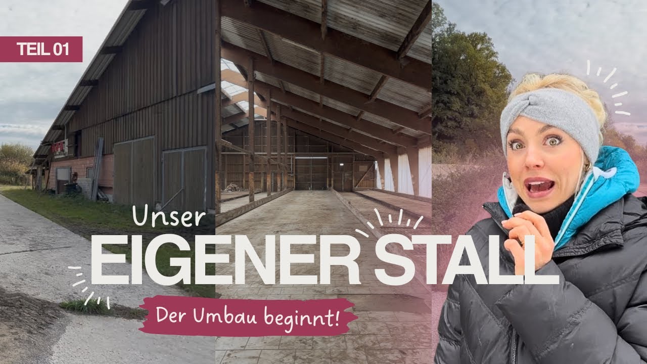 New Chapter🏡🔑🐴 #stall #news #traum 