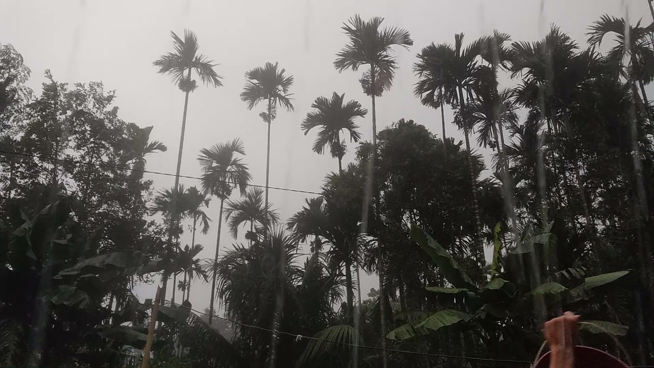 Assam rain 2021🌧️🌧️🌧️🌧️🌧️🌧️