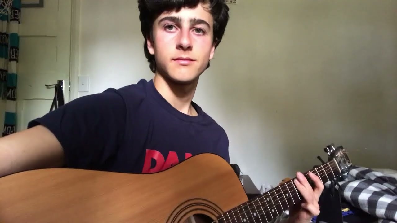 Would’ve Could’ve Should’ve - Taylor Swift Guitar Cover by Luca