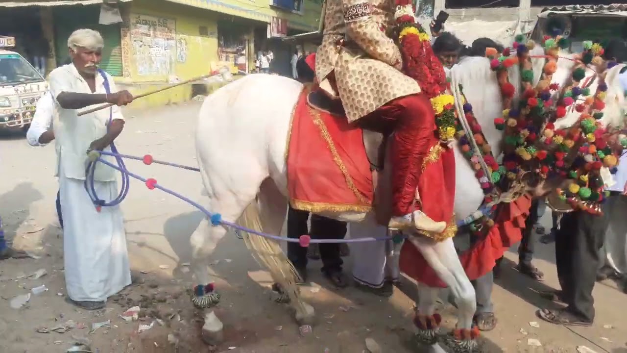 podapadu horse dance  9390678182 9885063927