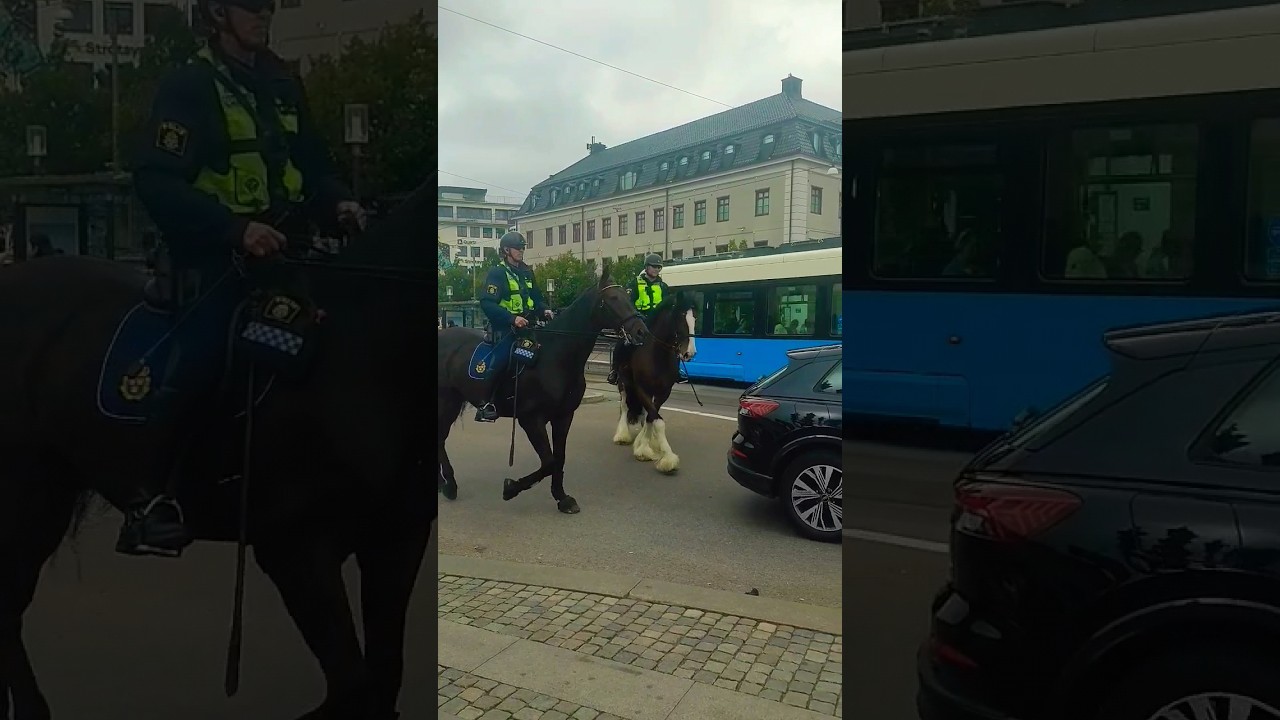 Police riding horse in sweden#police#horses#horseriding#reels#trending#viral#swedenhorses#horselove