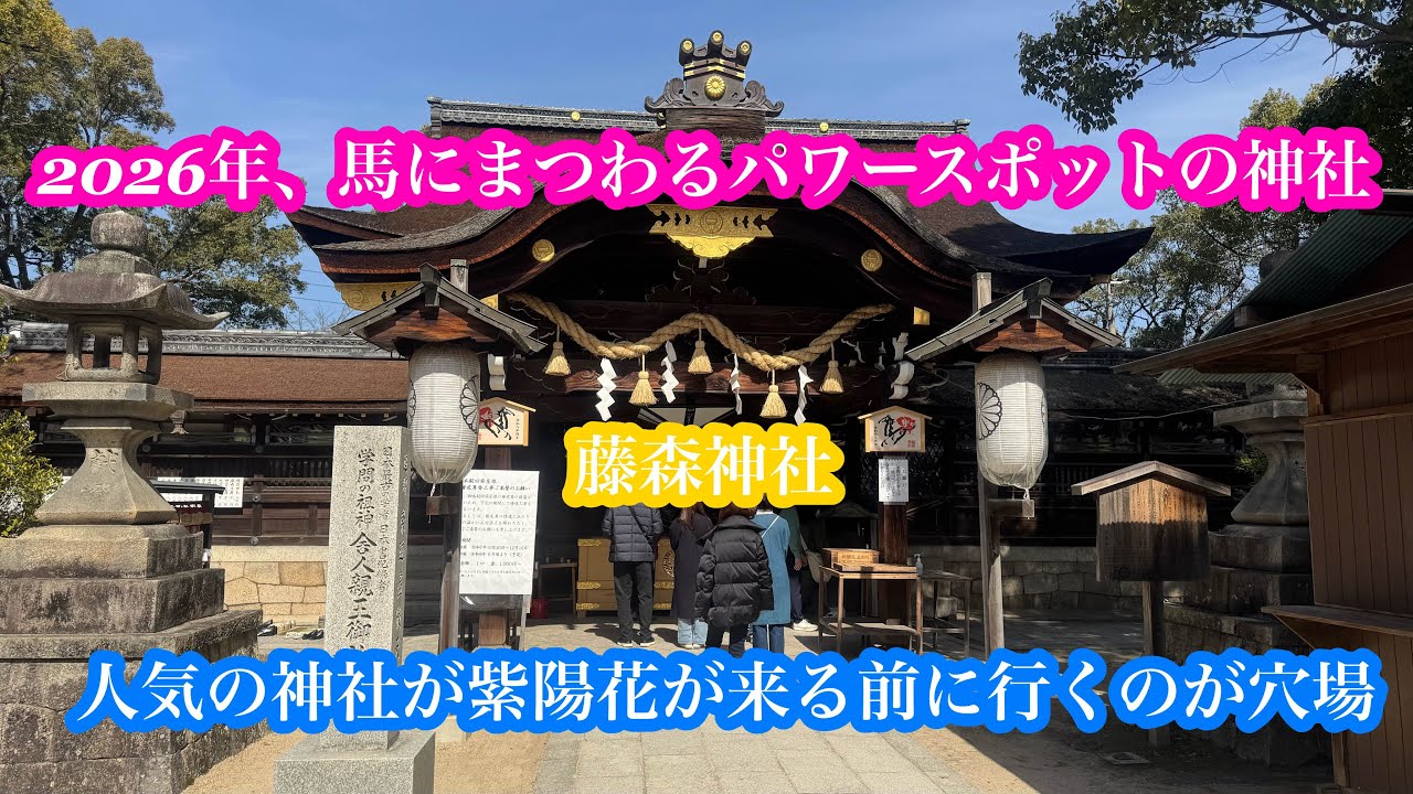 馬にまつわる『藤森神社』が人気すぎて紫陽花の季節の前に行くのが穴場！#関西#京都府#観光