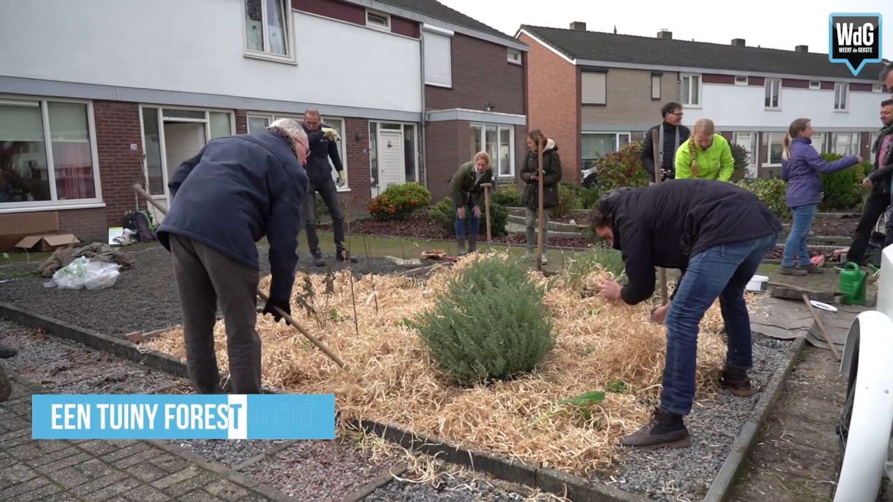 Eerste Tuiny Forest in Magdalenastraat