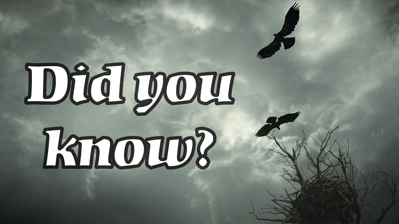You can shoot the hawks (and they drop an item) | Demon's Souls