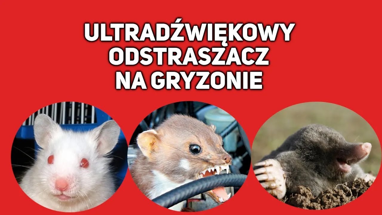 Ultradźwięk do odstraszania Kun, Mysz oraz Kretów 10 GODZIN