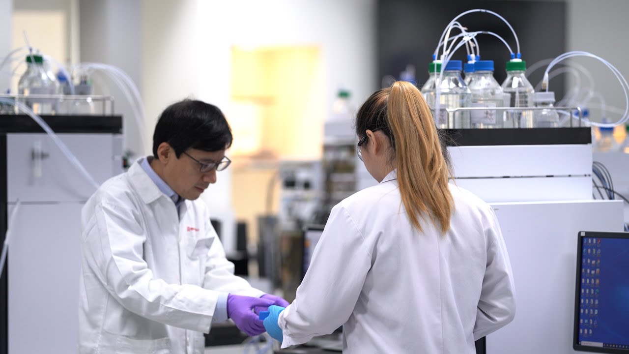 How to find molecular weight using Shimadzu Gel Permeation Chromatography GPC system