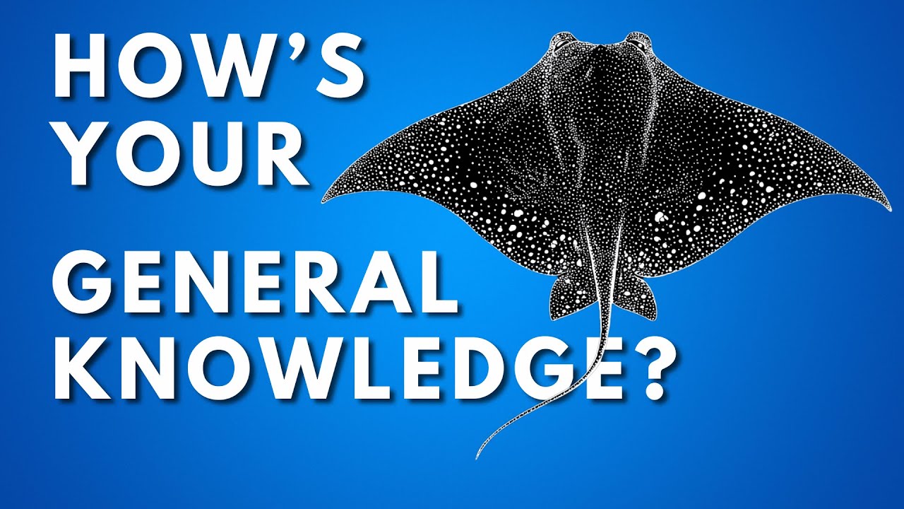 Can You Answer? | 100 Questions General Knowledge Trivia Quiz